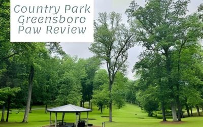 Exploring Country Park in Greensboro NC