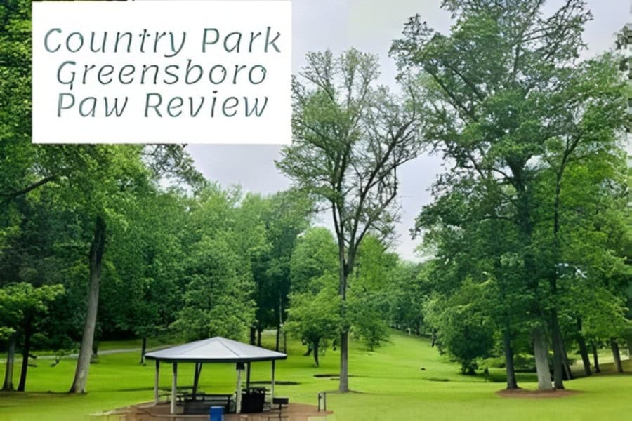 Exploring Country Park: The Ultimate Dog Walking Destination in Greensboro, NC