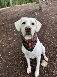 best dog parks greensboro