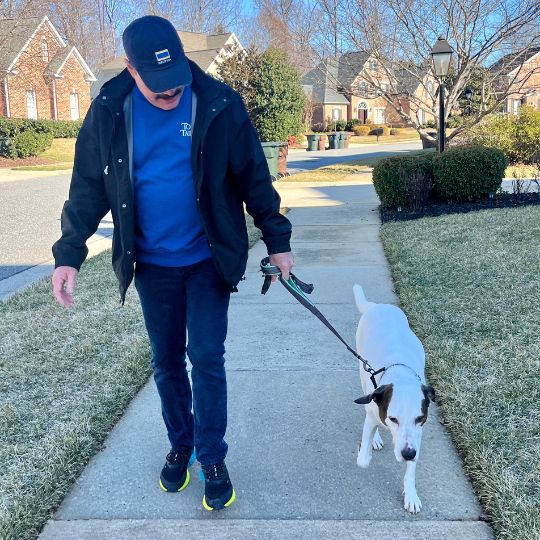 Benjamin Top Tails Dog Walking Pet Sitting Greensboro