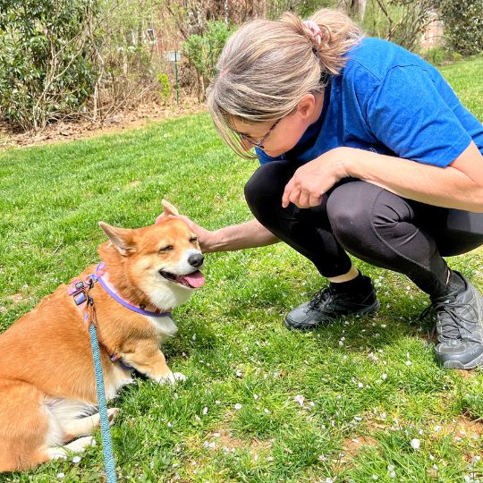 Christine Top Tails Dog Walking Pet Sitting Greensboro