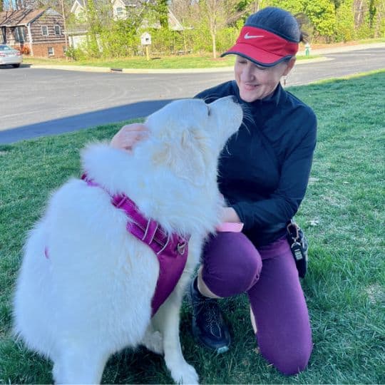Elia Top Tails Dog Walking Pet Sitting Greensboro