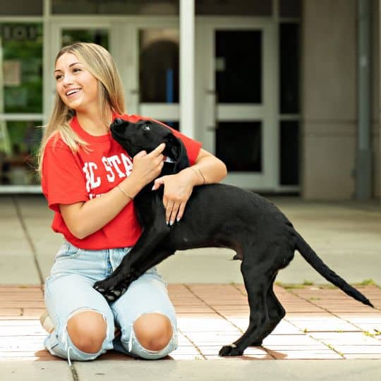 Madeleine Top Tails Dog Walking Pet Sitting Greensboro