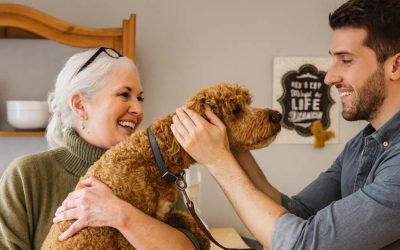 The Best Local Pet Stores In Greensboro, NC