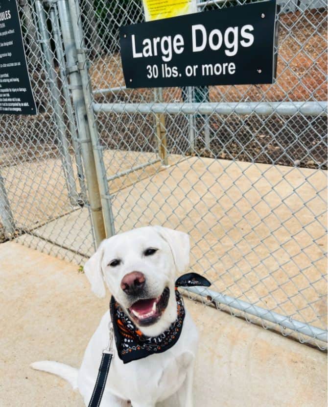 Dog Park in Greensboro NC