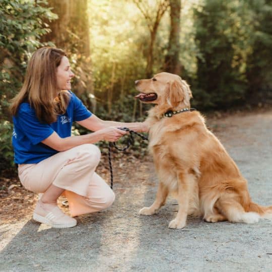 Service Area Top Tails Dog Walking Pet Sitting Greensboro
