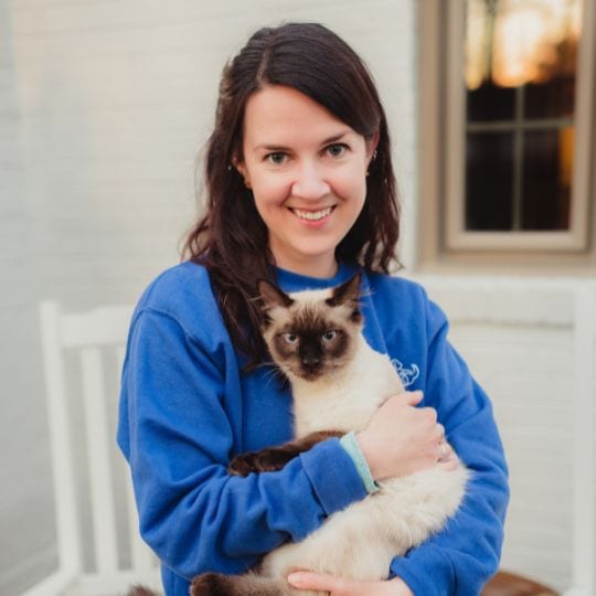 Your trusted cat sitter since 2019 Top Tails Dog Walking Pet Sitting Greensboro NC