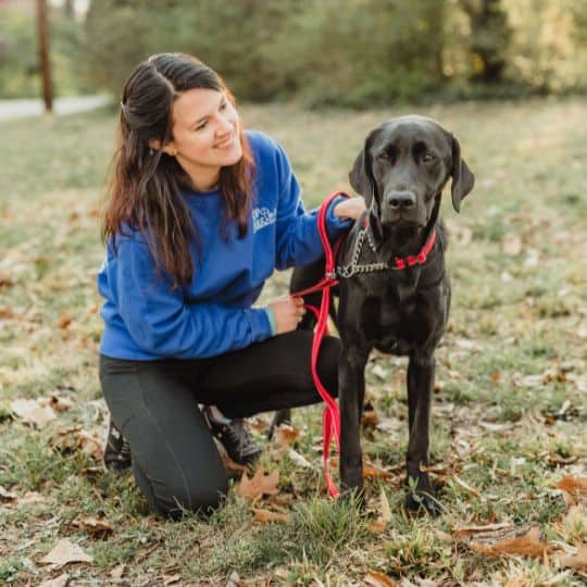 Your trusted dog walker since 2019 Top Tails Dog Walking Pet Sitting Greensboro NC