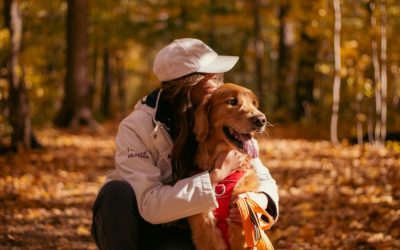 Fall Pet Care Tips to Keep Pets Happy and Healthy