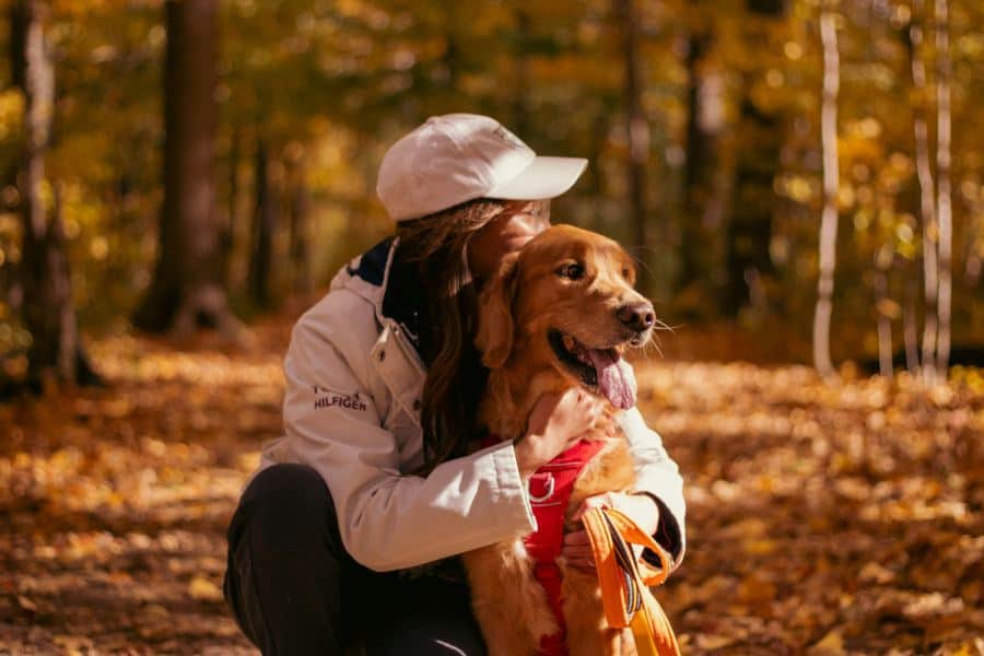Fall Pet Care Tips to Keep Pets Happy and Healthy