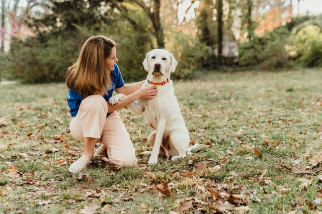Andrea with her yellow lab posing for professional photos in Greensboro