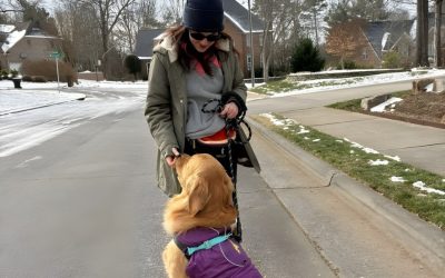 Top Tails office manager Sarah with a Golden retriever on a regular walk