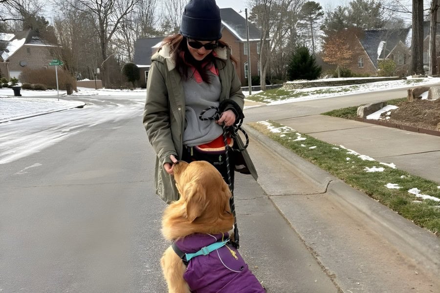 What Sets Top Tails Apart from Other Dog Walkers and Cat Sitters in Greensboro?