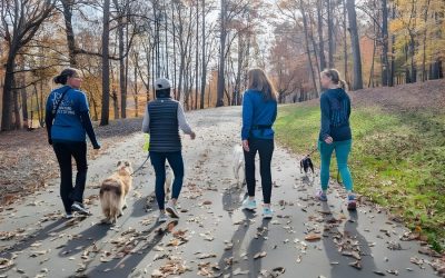 mental benefits of dog walking