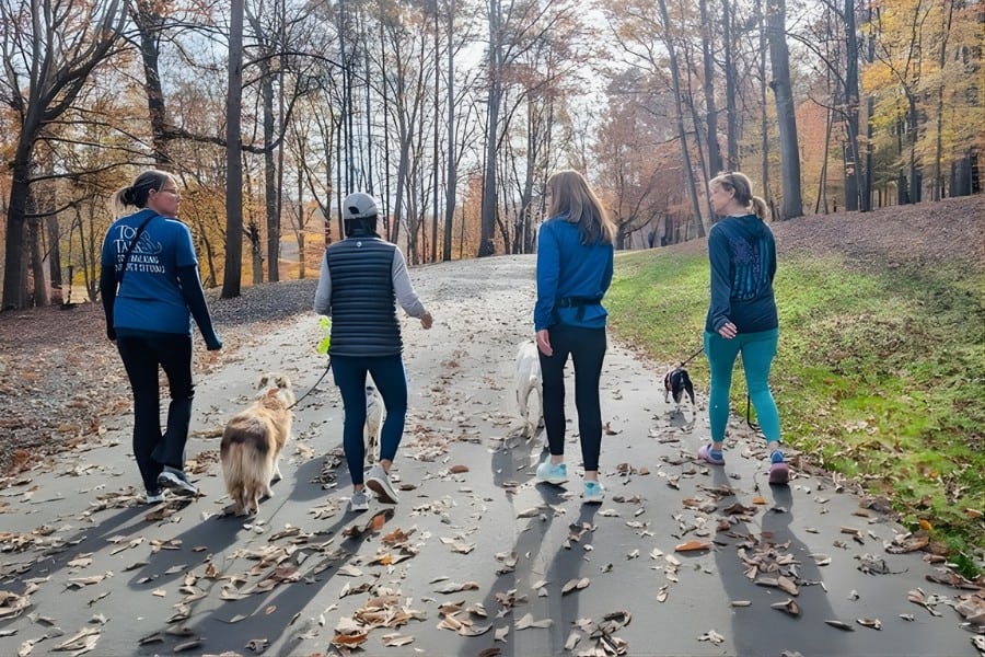 The Mental Benefits of Dog Walking And Why Your Dog’s Walk Matters More Than You Think