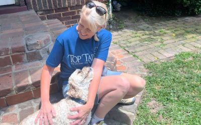 Looking for a Rover Alternative in Greensboro