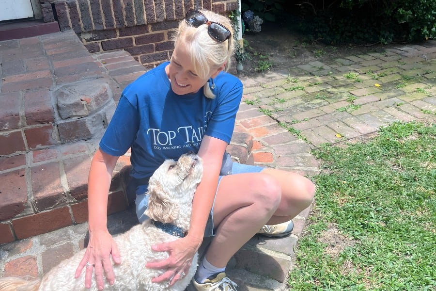 Looking for a Rover Alternative in Greensboro? Here’s What to Know